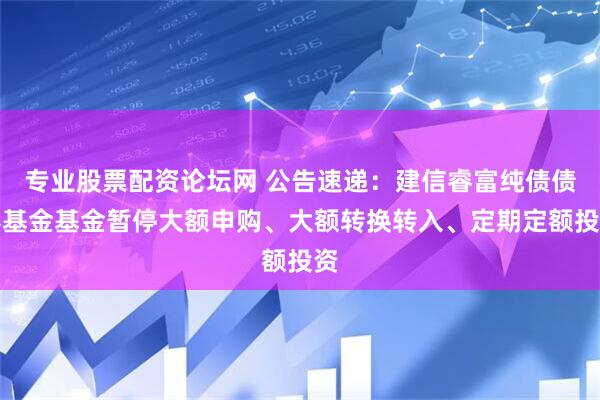 专业股票配资论坛网 公告速递：建信睿富纯债债券基金基金暂停大额申购、大额转换转入、定期定额投资