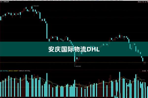 安庆国际物流DHL