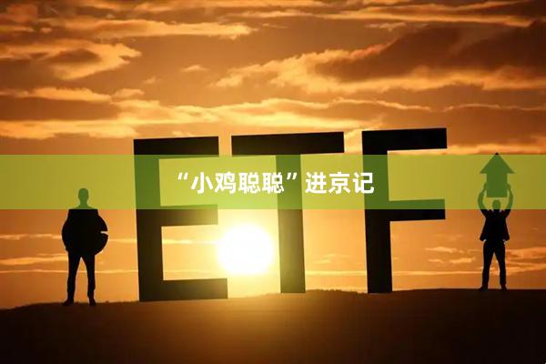 “小鸡聪聪”进京记