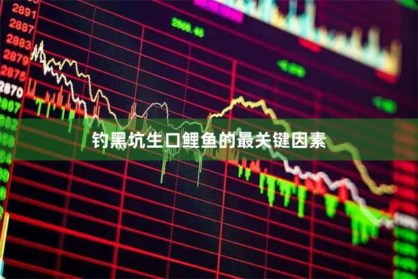 钓黑坑生口鲤鱼的最关键因素